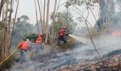 Bomberos tratan de controlar el fuego en Portugal.