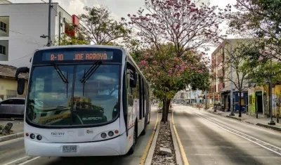 Sistema operará con 259 buses en operación.
