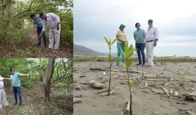 Los investigadores de la Unisimón.
