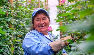 La Viceministra de Asuntos Agropecuarios del Ministerio de Agricultura, Marcela Ureña Gómez, destacó que “el sector floricultor genera aproximadamente 90.000 empleos rurales formales directos, especialmente a madres cabezas de familia”.
