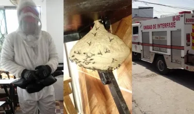 Bomberos de Soledad controlaron el peligroso panal en un colegio.