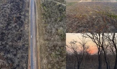  El Ministerio del Medio Ambiente ha atribuido esa situación a una vasta sequía en las regiones norte y centro oeste del país.