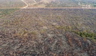 Las imágenes de los incendios que consumen extensas regiones de estados amazónicos de Brasil han causado alarma mundial.