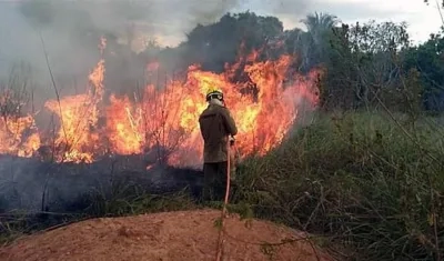 Fotografía cedida por los Bomberos del estado de Acre que muestra a miembros de los bomberos mientras combaten un incendio ayer.