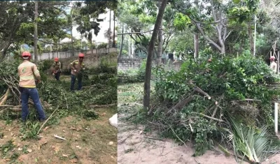 Operarios contratados en plena labor de destrucción.