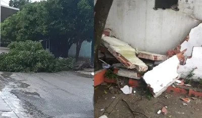 Árboles caidos y daños en la Casa de Cultura.