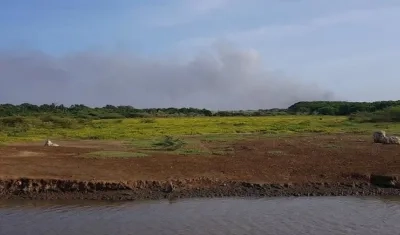 La humareda originada en la Vía Parque Isla de Salamanca.