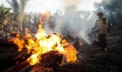 Bomberos del Prevfogo, una brigada forestal del Ibama formada por indígenas de la etnia Tenhari, participan en la extinción de un incendio
