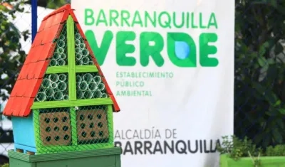Primer ‘hotel para polinizadores’ en el Jardín Botánico de la ciudad.