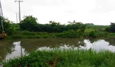 Caño de la Auyama.