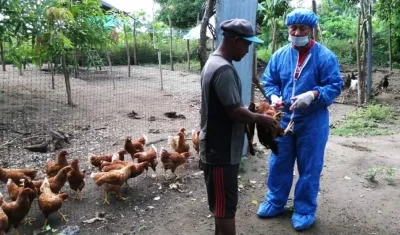 Inicio de la jornada de vacunación.