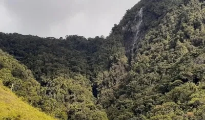 En este lugar desde lo alto cayó la niña.