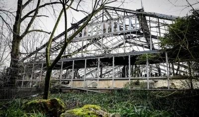 Recinto de los monos después del incendio.