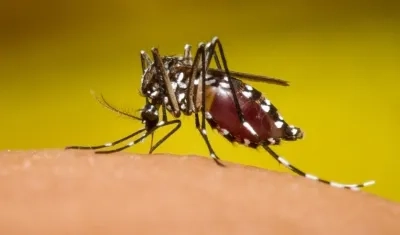 Se reportaron 11 casos de dengue grave.