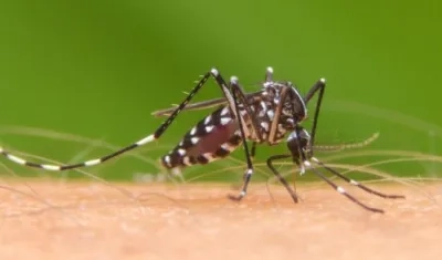 Los casos de dengue están disparados en Barranquilla y el Atlántico.
