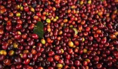 La Federación Nacional de Cafeteros reportó una excelente cosecha.