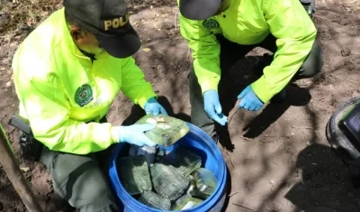 La droga encontrada.