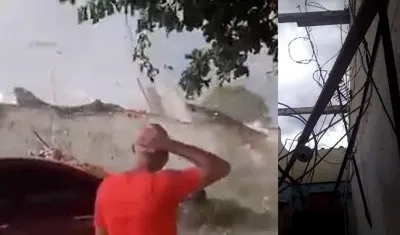 Vendaval en Soledad. 