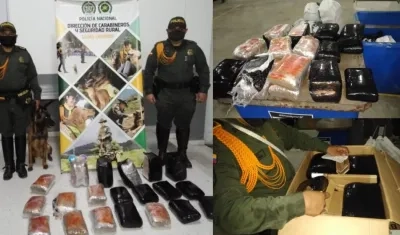 Marihuana decomisada en empresa de encomiendas. 