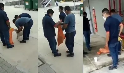 Maltrato a los perros en el Sena de Malambo.