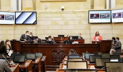 Imagen de la plenaria.