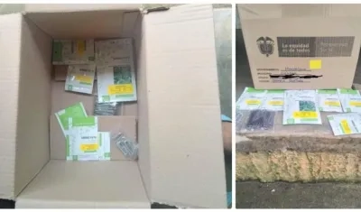 Esta fue la precaria ayuda que llegó para campesinos de la Sierra Nevada