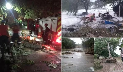 Árboles caídos y vías bloqueadas al paso de Eta.