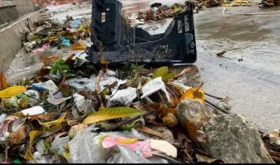 Residuos sólidos en las rejillas.