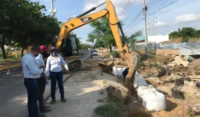Trabajos en taludes del arroyo El Platanal.