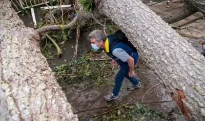 El Ministro Carlos Eduardo Correa anunció la construcción de un megavivero en Providencia.