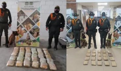 La droga incautada en los dos operativos. 