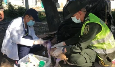 Momento en que es atendió el cachorro por la patrulla animal y la Policía Ambiental. 