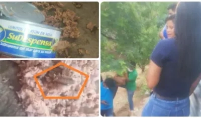 Los gusanos en el atún. 