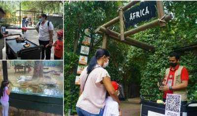 Zoológico invita a programar las visitas en temporada navideña y de vacaciones.