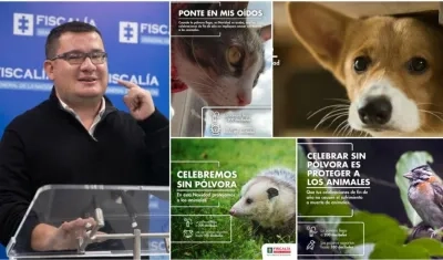 Campaña Ponte en mis oídos fue explicada por el coordinador de la Gelma de la Fiscalía, Alejandro Gaviria.
