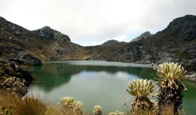 Los recursos para la conservación de los páramos provienen de la cooperación internacional.