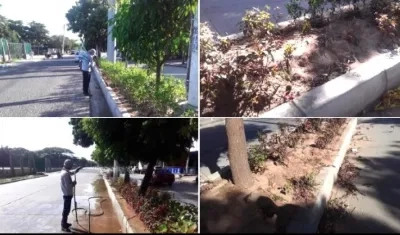 El antes y después en los sectores afectados.