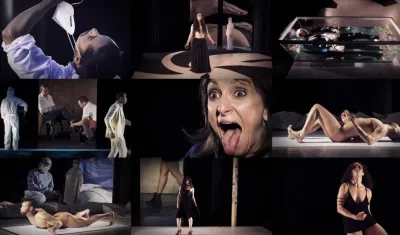 Imágenes de las presentaciones.