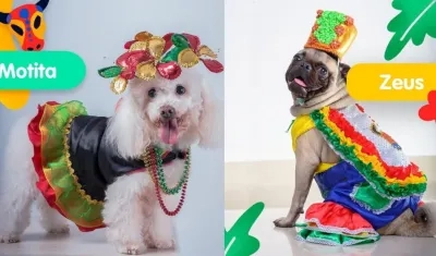 Algunos de los aspirantes a Reyes caninos del Carnaval PetLovers.