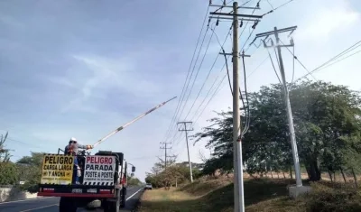La empresa hará lavado de redes eléctricas.