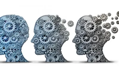 El equipo fue liderado por científicos del Instituto Cajal, del Consejo Superior de Investigaciones Científicas (CSIC).