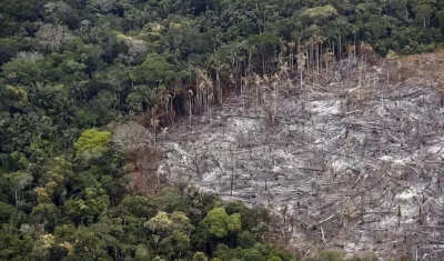 Fotografía de un terreno de selva deforestado, el 22 de febrero de 2020, en el Parque Nacional Natural Tinigua, en el departamento del Meta (Colombia). 