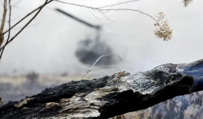 Fotografía de un terreno de selva deforestado