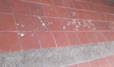 Pisos invadidos por las heces.