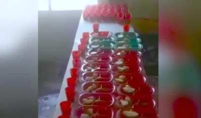 Esta es la ración de alimentos entregada a los niños.