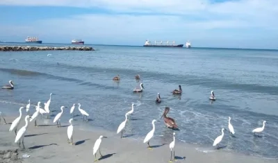 Las playas permanecerán cerradas hasta nuevo aviso.