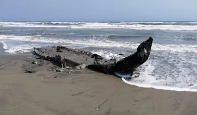 Así quedó el velero después de ser saqueado e incendiado en Bocas de Ceniza.