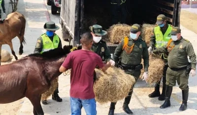 Entrega de pasto en el suroccidente de Barranquilla.