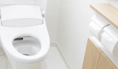 Las tecnologías que se han desarrollado pueden ser integradas en un retrete convencional. 