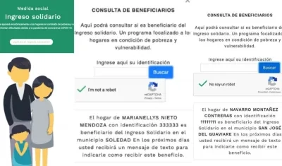 Esto es lo que usuarios han buscado en la página de Ingreso Solidario.